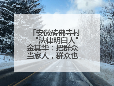 安徽砖佛寺村“法律明白人”金其华：把群众当家人，群众也把我当亲人