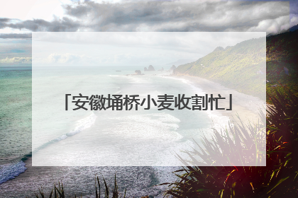 安徽埇桥小麦收割忙
