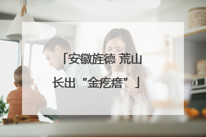 安徽旌德 荒山长出“金疙瘩”