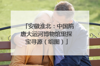 安徽淮北：中国隋唐大运河博物馆里探宝寻源（组图）