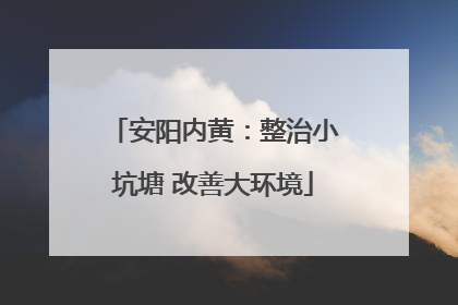 安阳内黄：整治小坑塘 改善大环境
