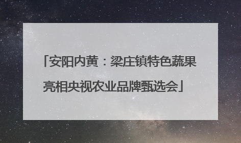 安阳内黄：梁庄镇特色蔬果亮相央视农业品牌甄选会