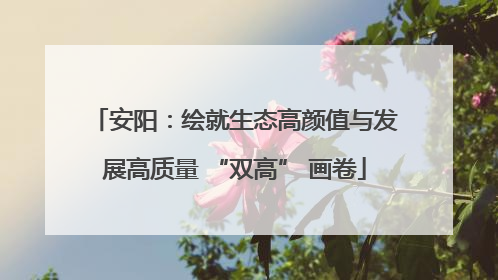 安阳：绘就生态高颜值与发展高质量 “双高” 画卷
