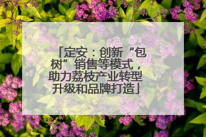 定安：创新“包树”销售等模式，助力荔枝产业转型升级和品牌打造