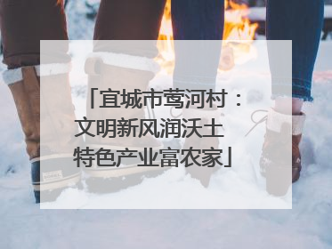 宜城市莺河村：文明新风润沃土 特色产业富农家