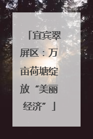 宜宾翠屏区：万亩荷塘绽放“美丽经济”
