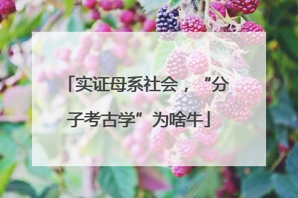 实证母系社会，“分子考古学”为啥牛