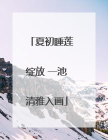 夏初睡莲绽放 一池清雅入画