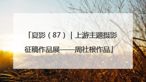 夏影（87）｜上游主题摄影征稿作品展——周社根作品