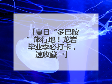 夏日“多巴胺”旅行地！龙岩毕业季必打卡，速收藏→
