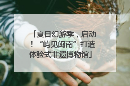 夏日幻游季，启动！“屿见闽南”打造体验式非遗博物馆