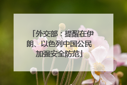 外交部：提醒在伊朗、以色列中国公民加强安全防范