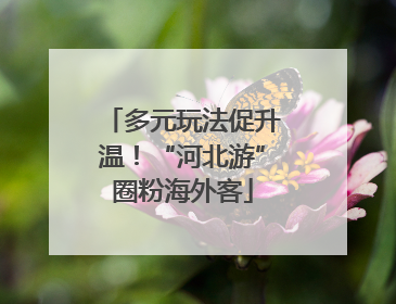 多元玩法促升温！“河北游”圈粉海外客