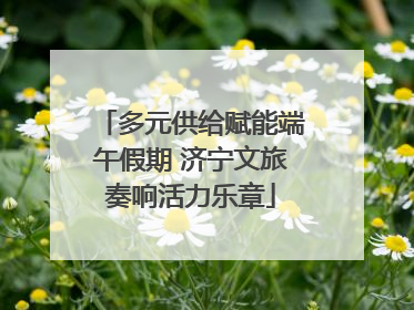 多元供给赋能端午假期 济宁文旅奏响活力乐章