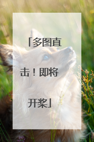 多图直击！即将开桨