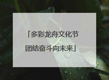 多彩龙舟文化节 团结奋斗向未来