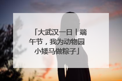 大武汉一日丨端午节，我为动物园小矮马做粽子