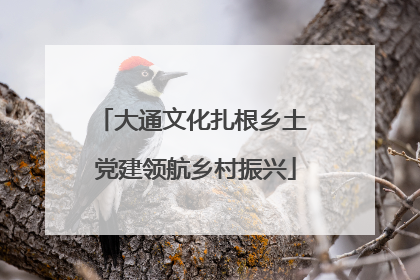 大通文化扎根乡土 党建领航乡村振兴