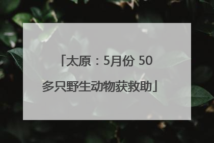 太原：5月份 50多只野生动物获救助