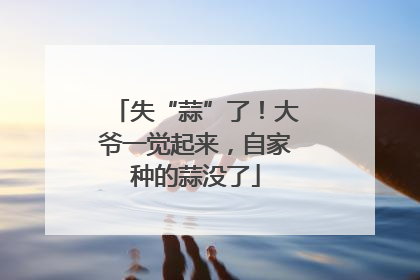 失“蒜”了！大爷一觉起来，自家种的蒜没了