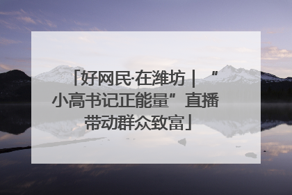 好网民·在潍坊｜“小高书记正能量”直播 带动群众致富