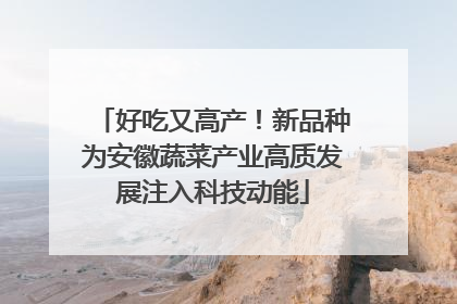 好吃又高产！新品种为安徽蔬菜产业高质发展注入科技动能