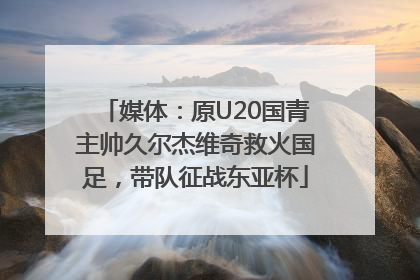 媒体：原U20国青主帅久尔杰维奇救火国足，带队征战东亚杯