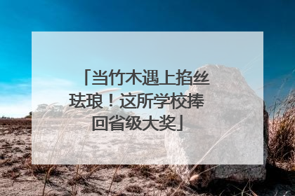 当竹木遇上掐丝珐琅！这所学校捧回省级大奖