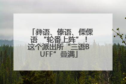 彝语、傣语、傈僳语 “轮番上阵”！这个派出所“三语BUFF”叠满