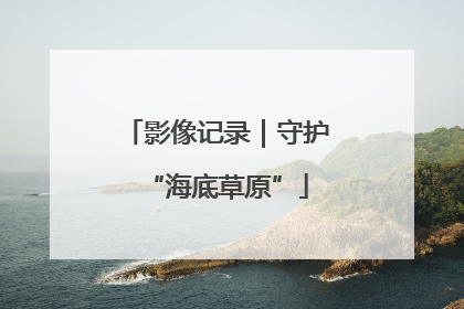 影像记录｜守护“海底草原”
