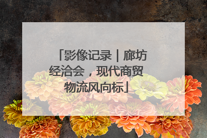 影像记录｜廊坊经洽会，现代商贸物流风向标
