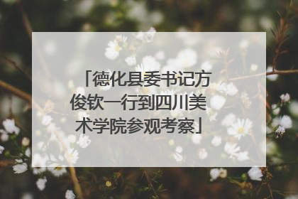 德化县委书记方俊钦一行到四川美术学院参观考察