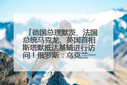 德国总理默茨、法国总统马克龙、英国首相斯塔默抵达基辅进行访问！俄罗斯：乌克兰一直在回避谈判