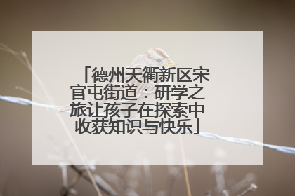 德州天衢新区宋官屯街道：研学之旅让孩子在探索中收获知识与快乐