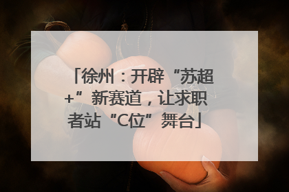 徐州：开辟“苏超+”新赛道，让求职者站“C位”舞台