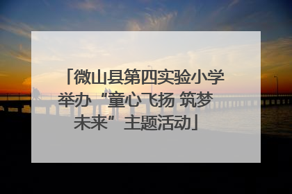 微山县第四实验小学举办“童心飞扬 筑梦未来”主题活动