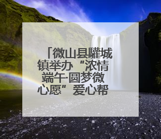 微山县驩城镇举办“浓情端午·圆梦微心愿”爱心帮扶活动