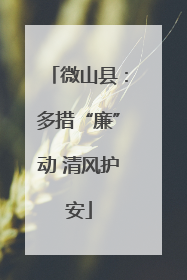 微山县：多措“廉”动 清风护安