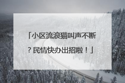 小区流浪猫叫声不断？民情快办出招啦！