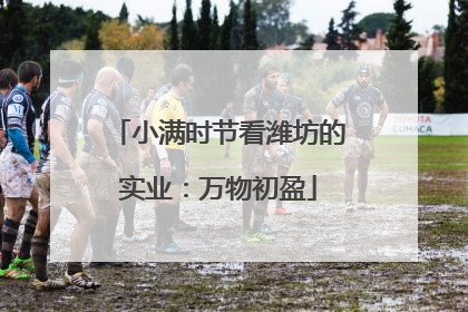 小满时节看潍坊的实业：万物初盈