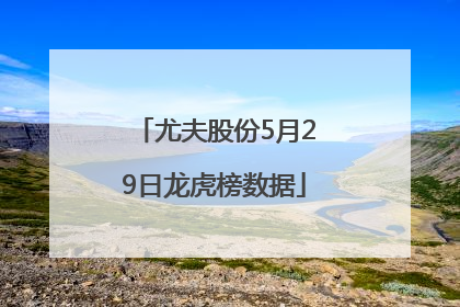 尤夫股份5月29日龙虎榜数据