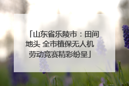 山东省乐陵市：田间地头 全市植保无人机劳动竞赛精彩纷呈