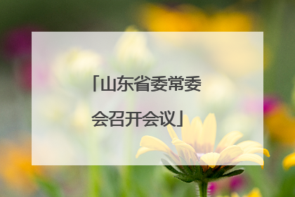 山东省委常委会召开会议