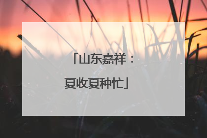 山东嘉祥：夏收夏种忙