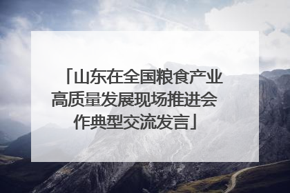 山东在全国粮食产业高质量发展现场推进会作典型交流发言