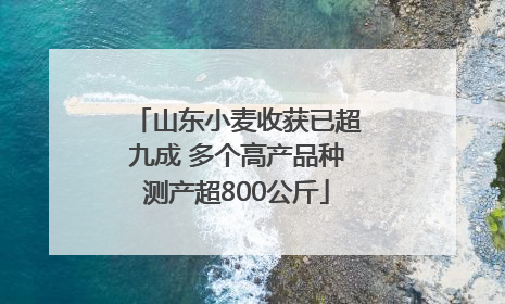 山东小麦收获已超九成 多个高产品种测产超800公斤