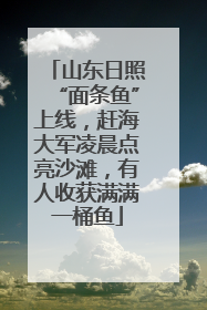 山东日照“面条鱼”上线，赶海大军凌晨点亮沙滩，有人收获满满一桶鱼