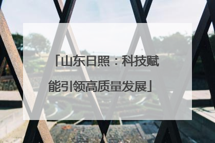山东日照：科技赋能引领高质量发展