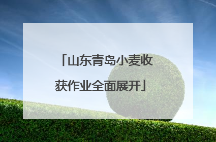 山东青岛小麦收获作业全面展开