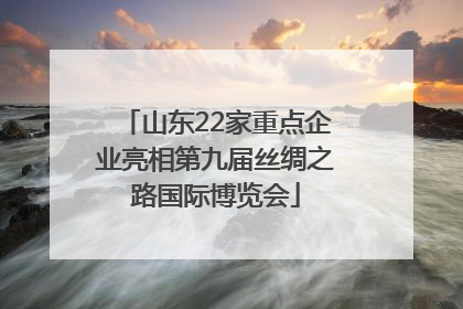山东22家重点企业亮相第九届丝绸之路国际博览会